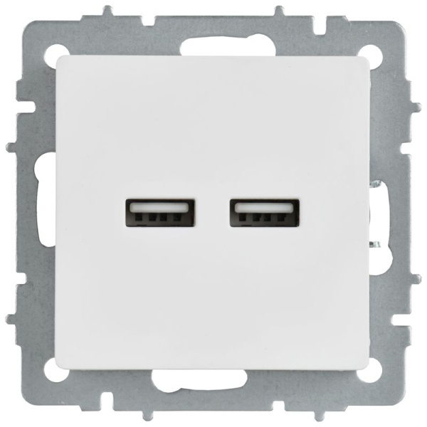 Розетка BRITE РЮ10-1-БрАБ USB A+A 3.1А механизм арктич. бел. IEK BR-U21-D31-K91