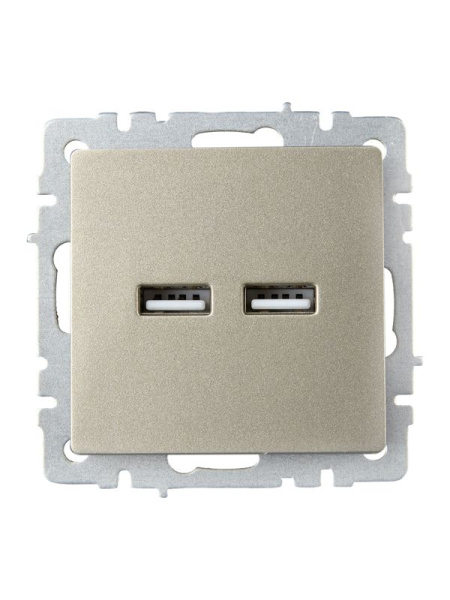 Розетка BRITE USB A+A 3.1А РЮ10-1-БрШ механизм шампань IEK BR-U21-D31-K37