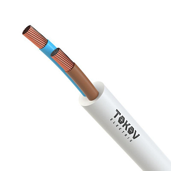 Провод TOKOV ELECTRIC ПВСнг(А)-LS 2х0.75 380В Б (уп.100м) 69163