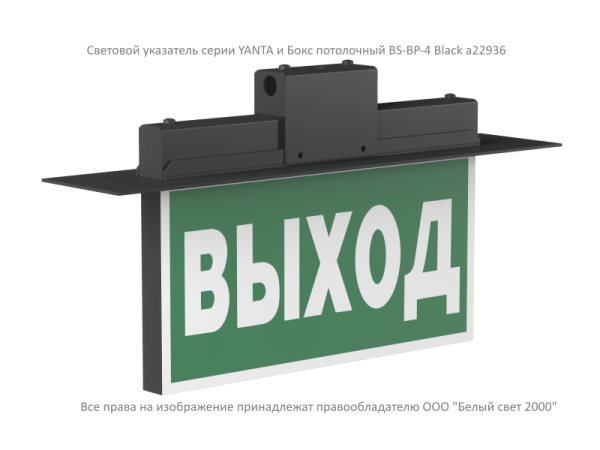 Бокс потолочный BS-BP-4 черн. Белый свет a22936