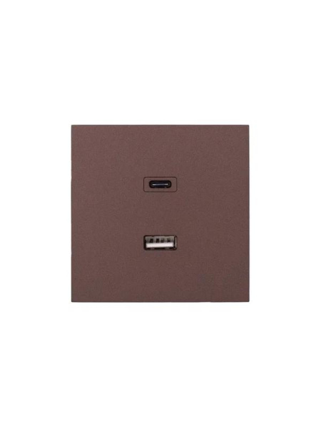Розетка СП ZIMA IP20 Type-C + USB механизм шоколад LEZARD 704-7388-192TC