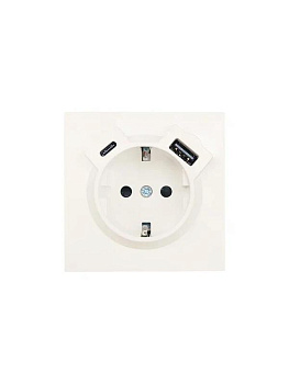 Розетка 1-м СП ZIMA IP20 Type-C + USB с заземл. механизм сл. кость LEZARD 704-9088-181TC