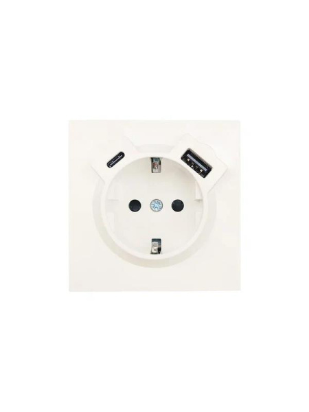 Розетка 1-м СП ZIMA IP20 Type-C + USB с заземл. механизм сл. кость LEZARD 704-9088-181TC