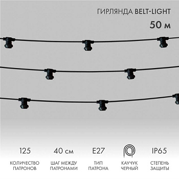 Гирлянда "Белт Лайт" 2жил. шаг 40см патроны E27 1320Вт IP65 влагостойкая провод черн. (уп.50м) Neon-Night 331-212