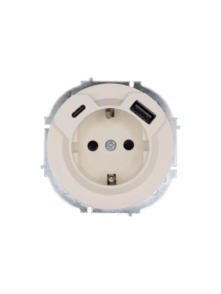 Розетка 1-м СП OSEN с заземл. TC + USB разъем механизм сл. кость LEZARD 743-9088-181TC