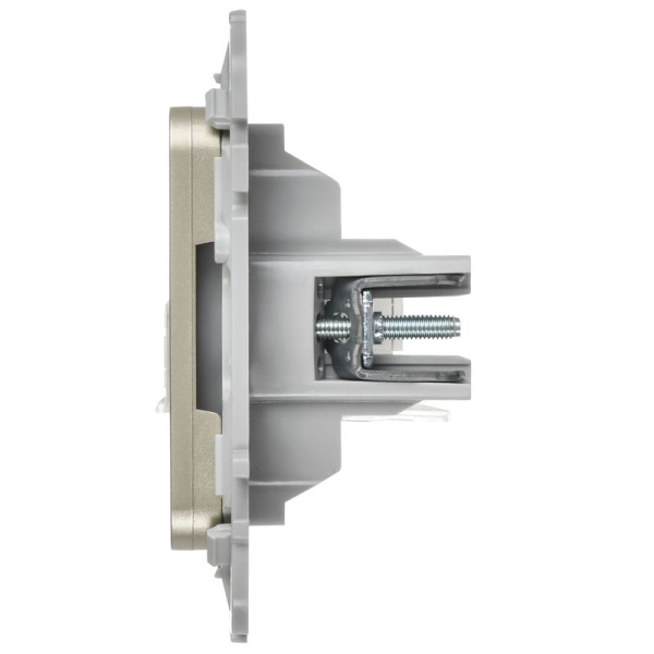Розетка компьютерная 2-м СП FLITE РК5е-2-0-ФлШ RJ45 кат.5E UTP механизм шампань IEK FI-K22-1-K37