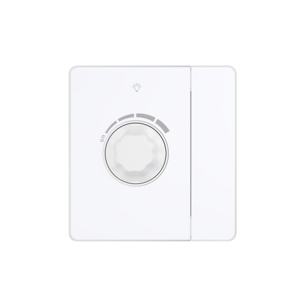 Светорегулятор 1-кл. СП TRIAC Systeme Infinity 10А 300Вт 250В с выключателем арктич. лед SE FSE000121