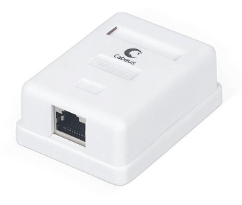 Розетка компьютерная 1-м ОП WS-8P8C-Cat.6-SH-1 RJ45 (8P8C) кат.6 экранир. Dual IDC Cabeus 7988c