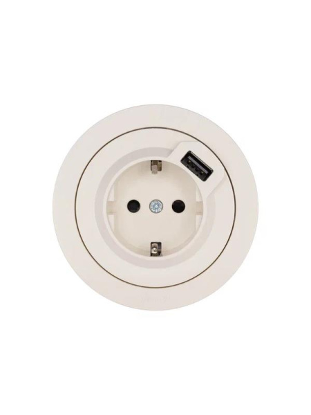 Розетка 1-м СП OSEN с заземл. + USB разъем механизм сл. кость LEZARD 743-9088-181