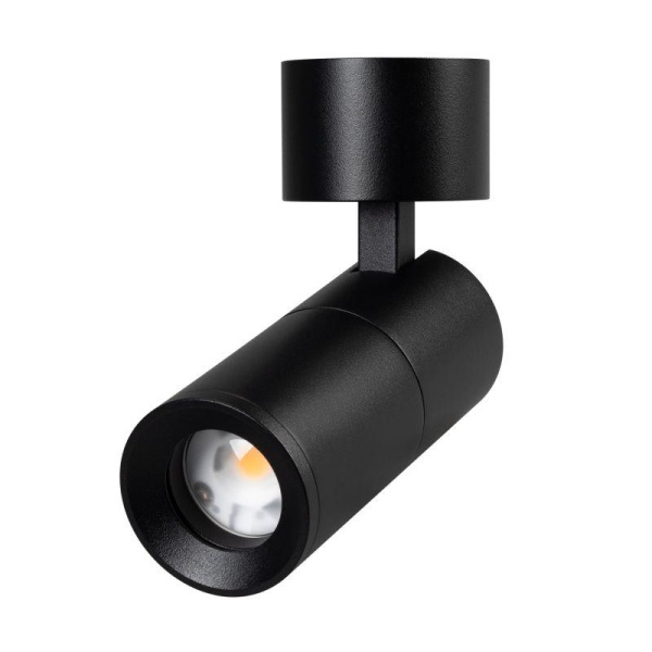 Светильник светодиодный SP-ARTEMIS-SURFACE-FLAP-R55-12W Warm3000 (BK 8-80 deg 230В) IP20 металл Arlight 051793