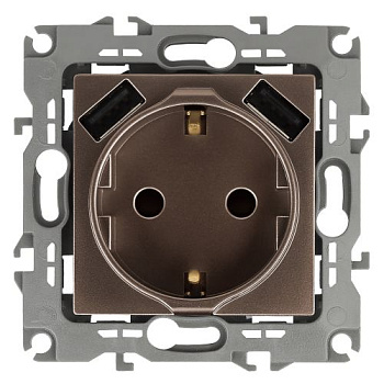 Розетка 16А 250В 2P+E с 2хUSB 5В-3А защ. шторки Эра12 бронза 12-4109-13 ЭРА Б0047847