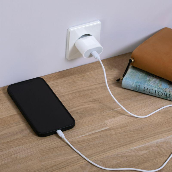 Устройство зарядное сетевое USB-C 20Вт в комплекте с кабелем USB-C - Lightning Rexant 16-0234-4