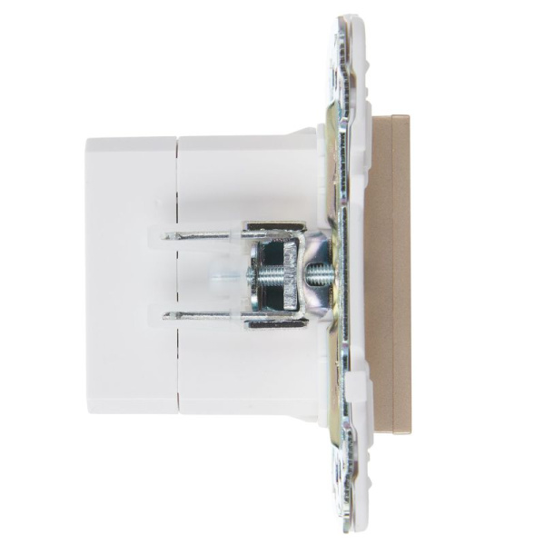 Розетка USB A+C 3.1А SKANDY SK-R14Sh шампань IEK SK-U22-D31-K37