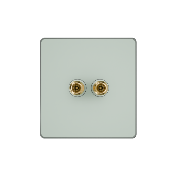 Розетка аудио СП Systeme Infinity IP20 таежное утро SE FSE000887