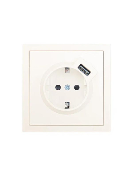 Розетка 1-м СП ZIMA IP20 + USB с заземл. механизм сл. кость LEZARD 704-9088-181