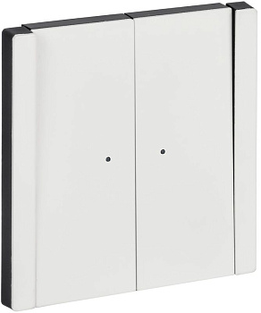 Выключатель 2-кл. 1п 1мод. СП FORTE&PIANO FP206M 10А IP20 с индикацией бел. IEK FP-V20-1-10-1-M-K01