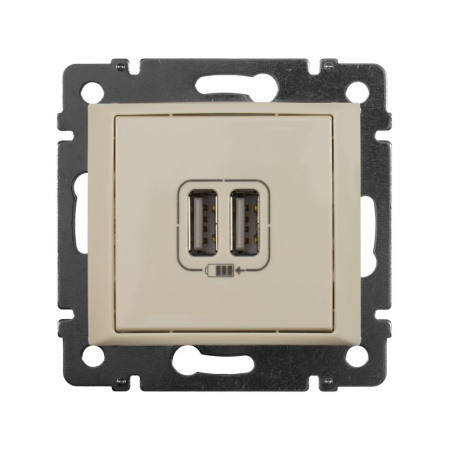 Розетка USB 2-м СП Valena сл. кость IEK 774170