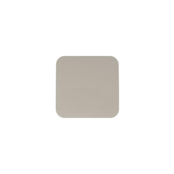 Выключатель 1-кл. ОП Blanca 10А IP20 (сх. 1) 250В с изолир. пластиной беж. SE BLNVA101017
