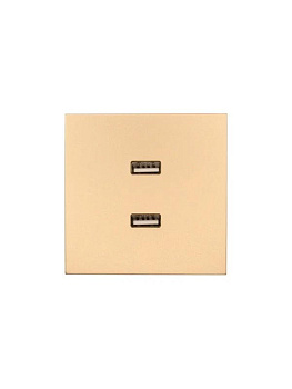 Розетка 2-м СП ZIMA IP20 USB механизм зол. LEZARD 704-3688-192