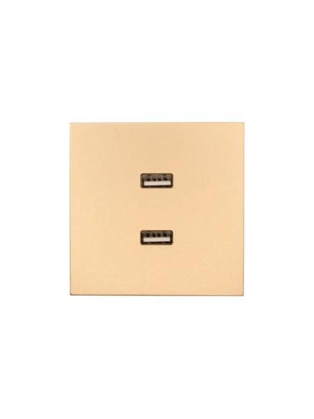 Розетка 2-м СП ZIMA IP20 USB механизм зол. LEZARD 704-3688-192