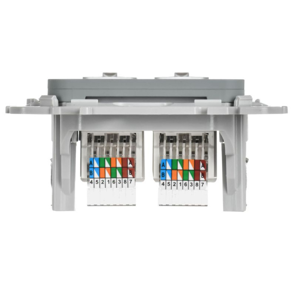 Розетка компьютерная 2-м СП FLITE РК5е-2-0-ФлС RJ45 кат.5E UTP механизм сер. IEK FI-K22-1-K03