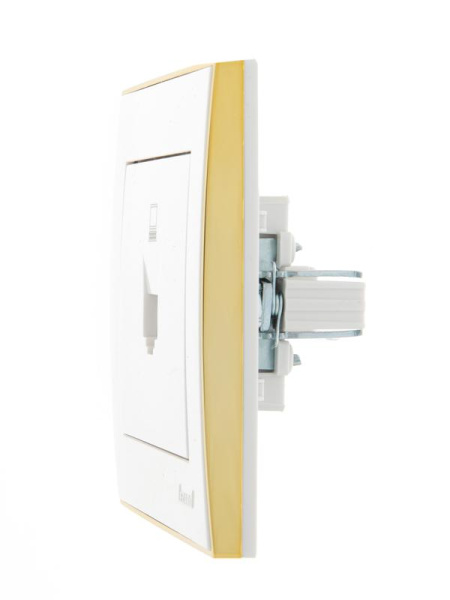 Розетка компьютерная 1-м СП Rain RJ45 с зол. боковой вставкой бел. LEZARD 703-0226-139