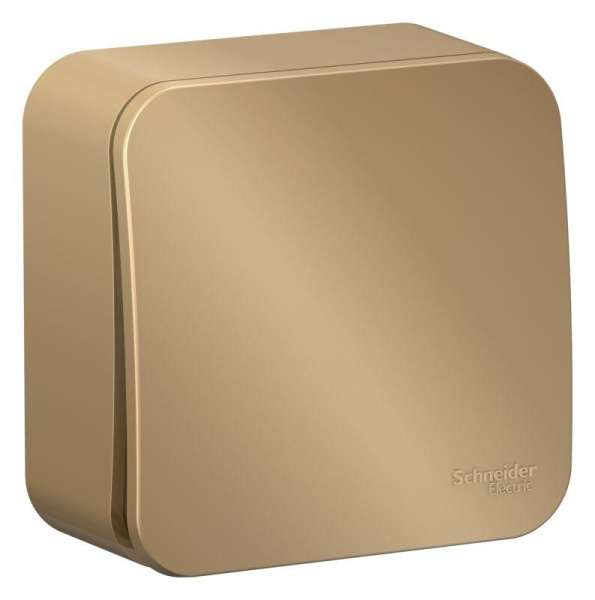 Выключатель 1-кл. ОП Blanca 10А IP20 (сх. 1) 250В с изолир. пластиной титан SE BLNVA101014