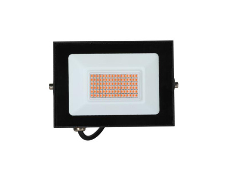 Прожектор светодиодный ФИТО LFL-3005 C02 30Вт черн. Camelion 15835