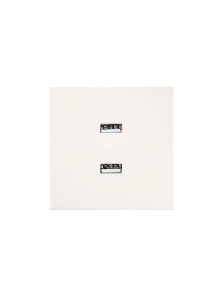 Розетка 2-м СП ZIMA IP20 USB механизм сл. кость LEZARD 704-9088-192