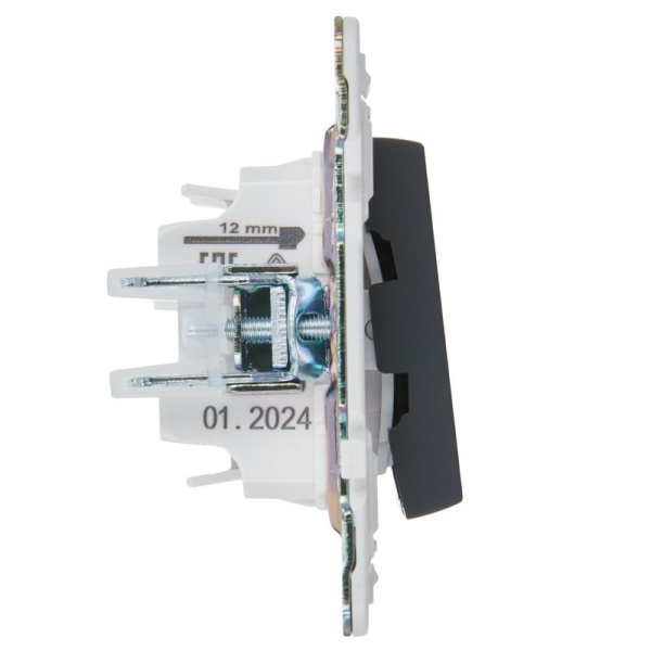 Выключатель 2-кл. SKANDY 10А SK-V09G с индикацией графит IEK SK-V20-1-10-K53