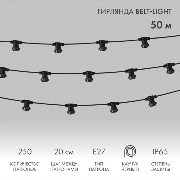 Гирлянда "Белт Лайт" 2жил. шаг 20см патроны E27 1320Вт IP65 влагостойкая провод черн. (уп.50м) Neon-Night 331-211