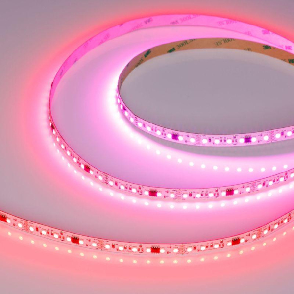 Лента светодиодная SPI-A120-10mm 24V RGB-PX6-BPT 23Вт/м IP20 2835 бегущий огонь (уп.5м) Arlight 046871