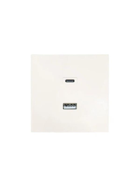 Розетка СП ZIMA IP20 Type-C + USB механизм сл. кость LEZARD 704-9088-192TC