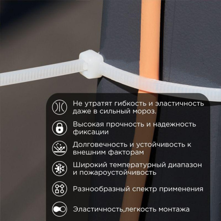 Хомут 3.6х250мм морозостойкий бел. (уп.100шт) Rexant 87-0250