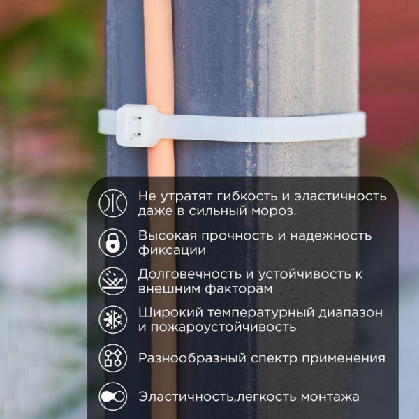 Хомут 4.8х300мм морозостойкий бел. (уп.100шт) Rexant 87-1301