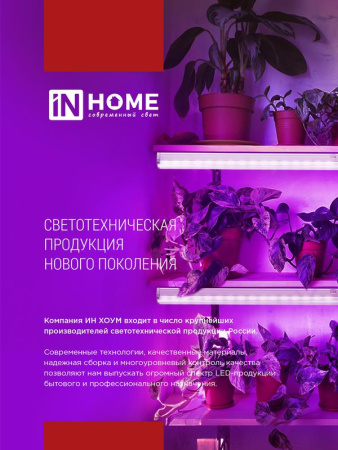 Светильник светодиодный СПБ-Т5-ФИТО 10Вт 230В 570мм IN HOME 4690612033099