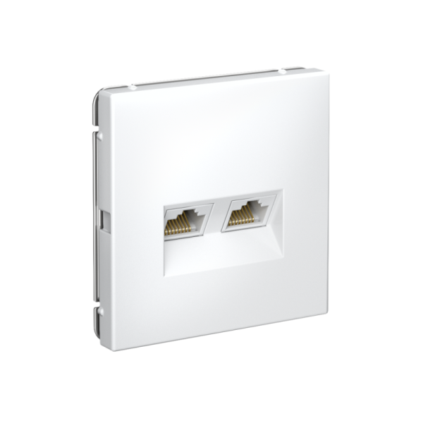 Розетка компьютерная 2-м ArtGallery RJ45 + RJ45 кат.5E механизм лотос SE GAL001385