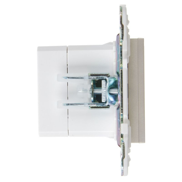 Розетка USB A+A 3.1А SKANDY SK-R15Sh шампань IEK SK-U21-D31-K37