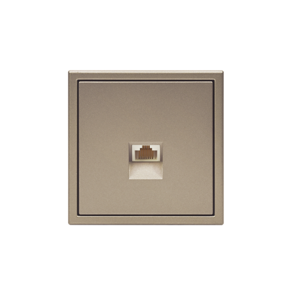 Розетка компьютерная ArtGallery RJ45 кат.5E механизм шампань SE GAL000583