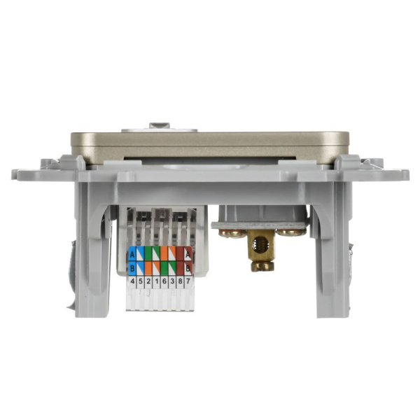 Розетка 2-м СП FLITE РКТВ5е-2-0-ФлШ RJ45/TV кат.5E UTP механизм шампань IEK FI-AK22-1-K37