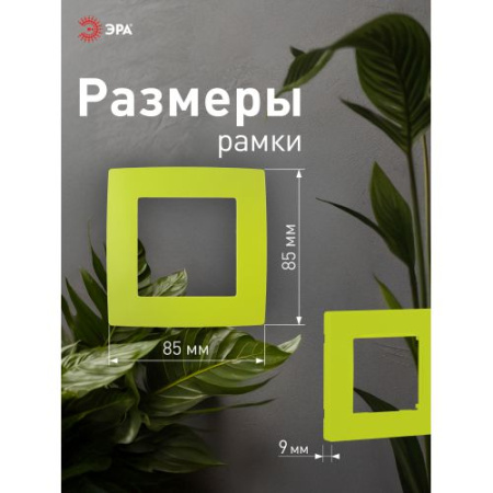 Рамка 1-м 12-5001-26 лайм ЭРА Б0019391