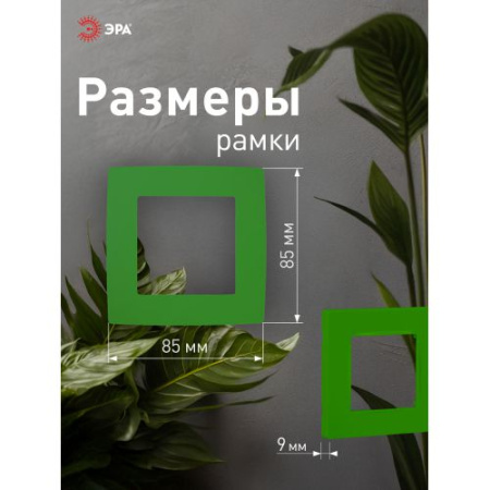 Рамка 1-м 12-5001-27 зел. ЭРА Б0019392