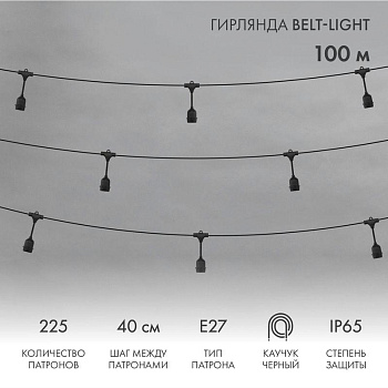 Гирлянда "Белт Лайт" 2жил. шаг 40см подвесные патроны E27 1320Вт IP65 влагостойкая (уп.100м) Neon-Night 331-231