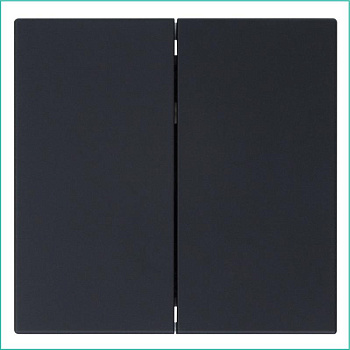 Выключатель 2-кл. СП FD 10А IP20 с накладкой механизм черн. матов. soft touch Jasmart FD3023PBM