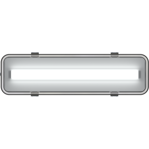 Светильник светодиодный INOX LED 30 25Вт 5000К IP65 потолочный СТ 1079000120