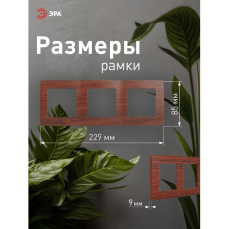 Рамка 3-м 12-5003-08 вишня ЭРА Б0014768