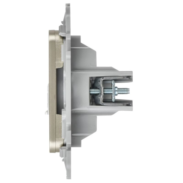 Розетка 2-м СП FLITE РКТВ5е-2-0-ФлШ RJ45/TV кат.5E UTP механизм шампань IEK FI-AK22-1-K37