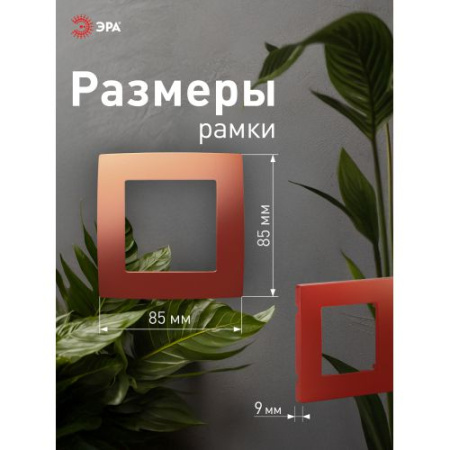 Рамка 1-м 12-5001-24 охра ЭРА Б0019389