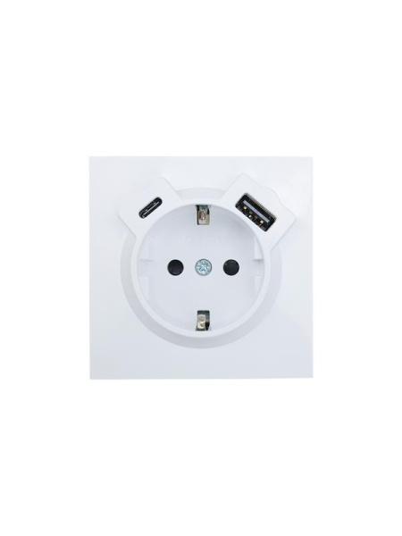 Розетка 1-м СП ZIMA IP20 Type-C + USB с заземл. механизм бел. LEZARD 704-0288-181TC