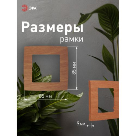 Рамка 1-м 12-5001-09 дуб ЭРА Б0014749